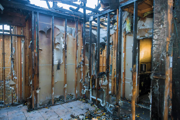 Professional Soot Cleanup technician working in Berlin, OH